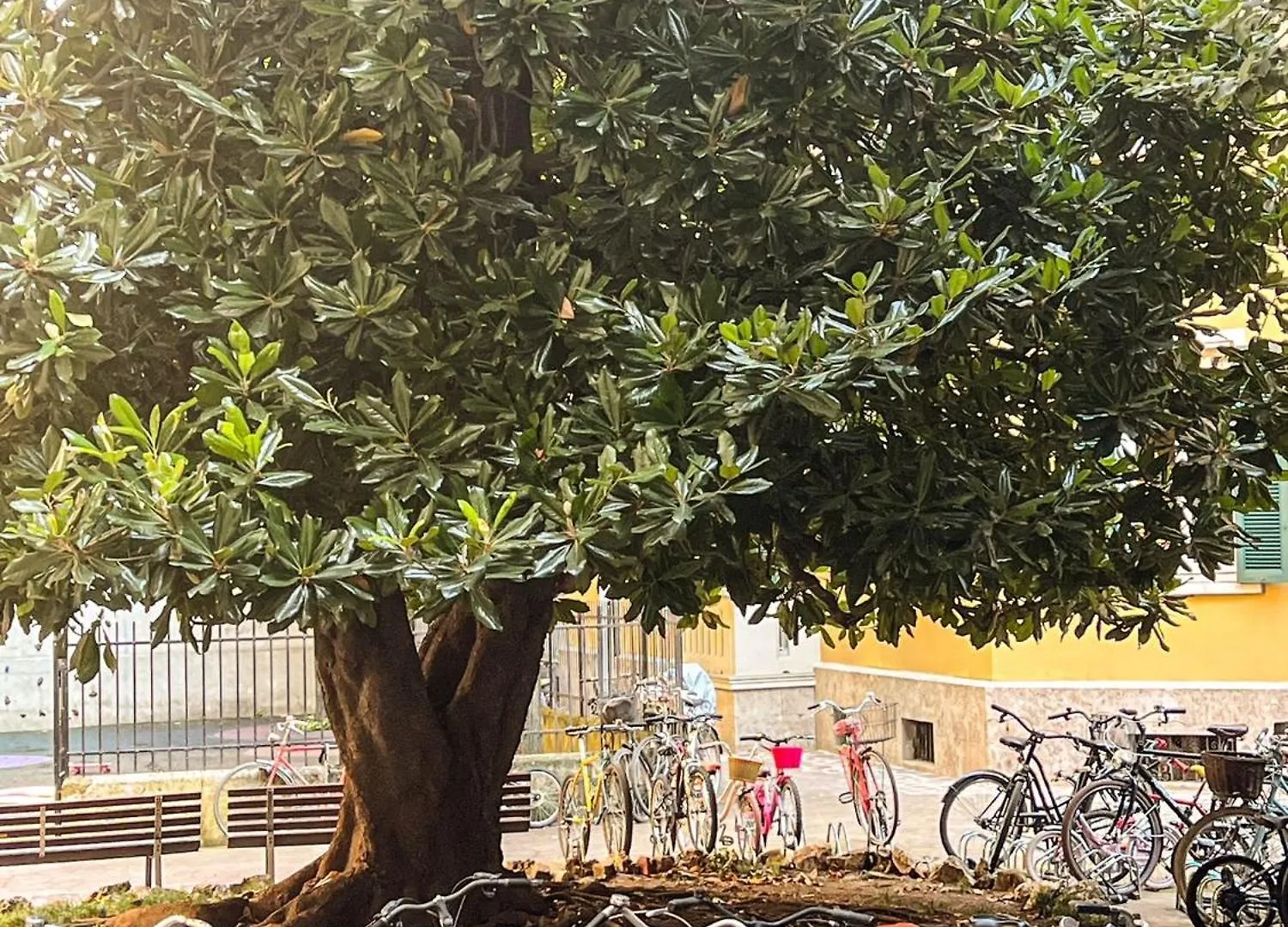 Divini Gae Aulenti Apartment Milan